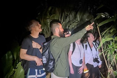 Tortuguero Night Walk – Discover Frogs, Sloths & Night Wildlife