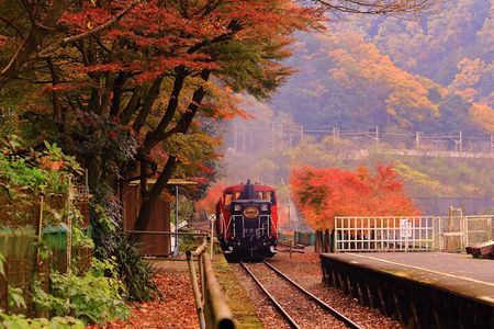 Sagano Romantic Train & Arashiyama, Kiyomizudera, Fushimi Inari Taisha Day Tour