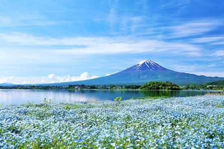 Discover Mt. Fuji 5th Station & Kawaguchiko Sightseeing Day Tour