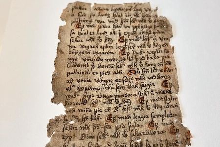 Old Icelandic Books Experience