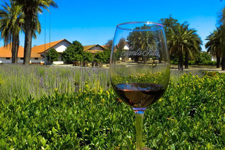 Half Day Santa Rita Vineyard Tour