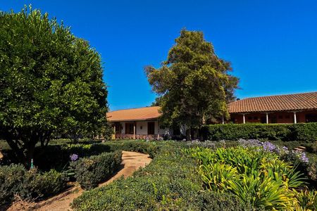 Half Day Santa Rita Vineyard Tour