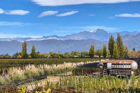 WINERIES DAY with Private Driver and Michelin Guide Lunch
