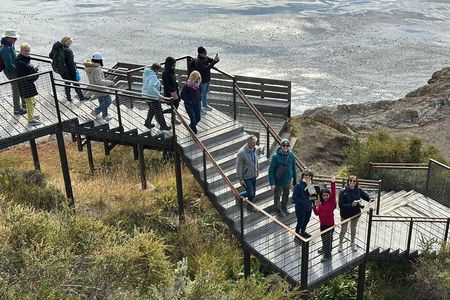 Fuerte Bulnes Shore Tour for Cruisers in Punta Arenas