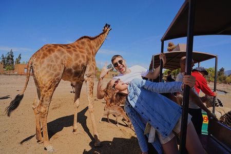Safari Park