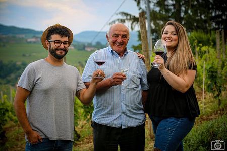 Wine tasting Langhe and Monferrato