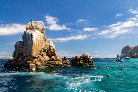 Snorkel & Explore Pelican Rock by Glass Boat + Photos