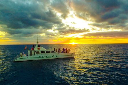 Oahu: Luxury Private Sunset Cruise and Dolphin Watch with Meal