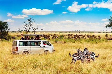 3 Days Gamedrive Safari In Masai Mara From Nairobi