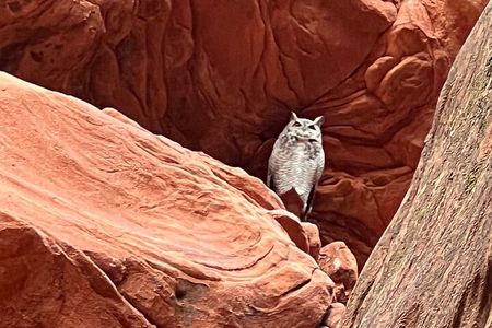 UTV Adventure to Peek-a-Boo Slot Canyon near Kanab, Utah