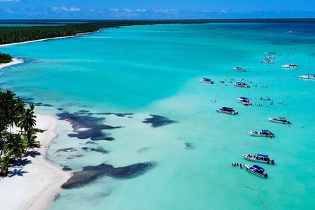 Tours 04 Days: Saona Island and Bay of Eagles From Punta Cana