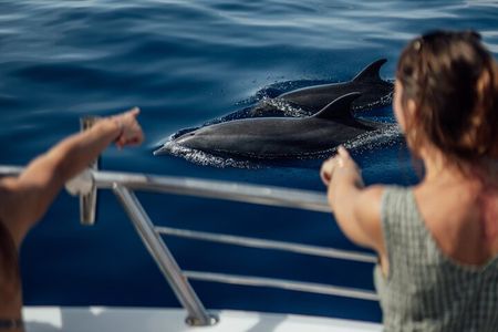 Lana'i Snorkel And Dolphin Quest with Maui Turtle Spot Tour