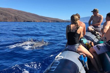 2 Hour Semi-Private Maui Dolphin Watch Sightsee Raft Tour 
