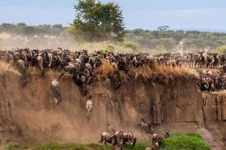 7 Days Safari Masai Mara Nakuru Hells gate and Amboseli Parks