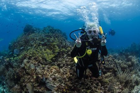 Open Water course Isla Mujeres