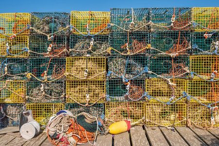 “Private Acadia” & Mount Desert Island Tour (full day, six hours)