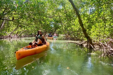 Kayak Tour Marco Island and Naples