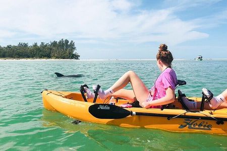 Kayak Tour Marco Island and Naples