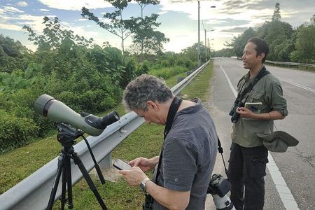 JungleWalla Full Day Penang Mainland Birdwatching