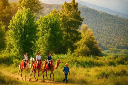 Atlas Mountains Day trips & 3 valleys with Camel ride