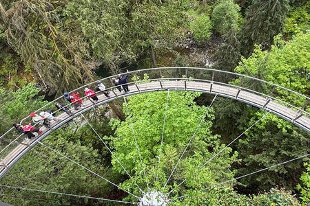 Capilano Br+Grouse Mtn+Dam+Lake+Hatchery/5in1CarTour+Small Group 