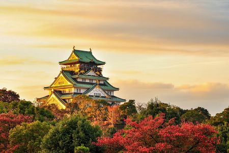 Osaka Private Customizable Half Day Tour