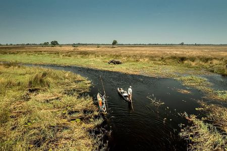 Camping Safari with Mokoro Rides and Game Drives