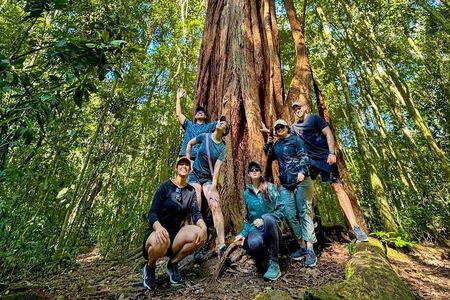 Tijuca Forest Tour: Waterfalls and Cave