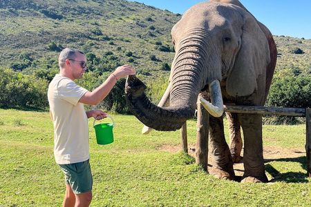 2 Day Greater Addo Ultimate Safari 