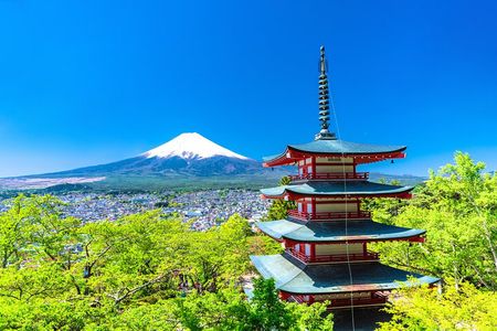 Mt. Fuji & Hakone Sightseeing with Shrine Visit and Ramen Making