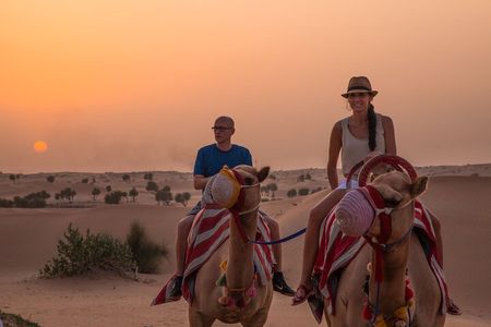 Dubai: Evening Camel Caravan, Bedouin Dinner at Al Marmoom Oasis