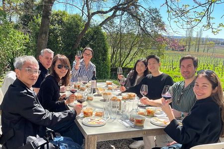 Saint-Émilion day tour: village visit, Châteaux and lunch