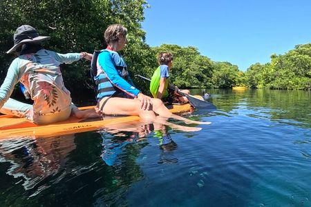 The sanctuary an adventure between mangroves