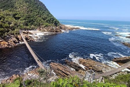 1 Day Garden Route Tour from Port Elizabeth to the Crags