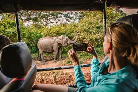 Yala Safari Tour from Hambantota Port by Ajith Safaris