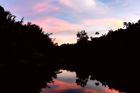 Johor Desaru Coast Firefly Afterdark River Cruise