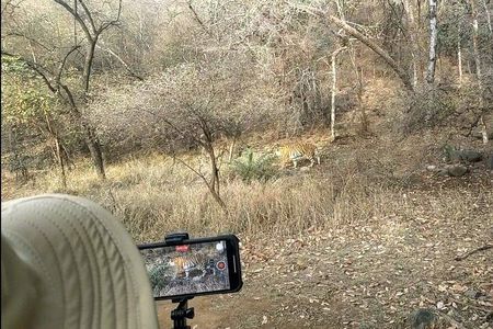 Ranthambore Tiger Safari In Canter 20 Seater All Inclusive visits