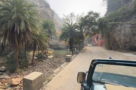 Sightseeing Private tour to Ranthambore Fort and Ganesh Temple.