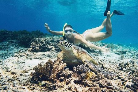 Private Snorkeling Start Gili Meno and Explore 4 Spots with GoPro