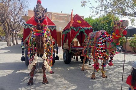 5-Day Private Golden Triangle Tour with Udaipur & Pushkar by Car