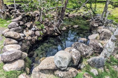 Best of Boquete: Hot springs, Waterfall and Chiriqui river Tour 