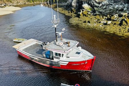 Bay of Fundy Tour by Van