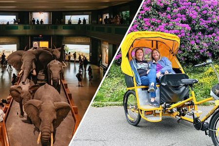 Central Park Pedicab Tour with Optional Natural History Tickets