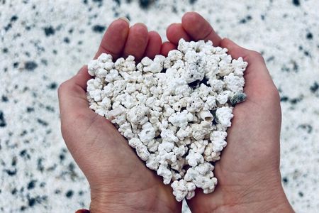 Small group, guided tour: Lobos Island, Popcorn Beach, and Dunes