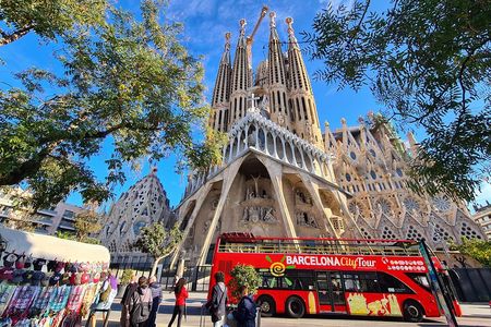 Barcelona Hop-On Hop-Off Bus & Coastal Catamaran Cruise