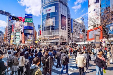 Tokyo Private Sightseeing Tour W/English Speaking Driver
