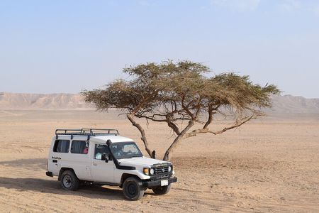 Mega Jeep Safari, Quad, Camel, Dinner and Party in Marsa Alam