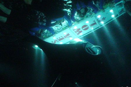 Manta Ray Night Snorkel from Kona — Small Group