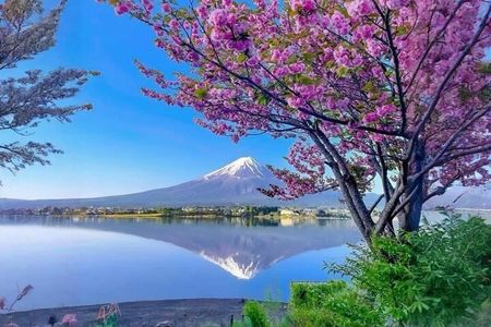 Mt fuji & Hakone customizable day tour w/ English speaking driver
