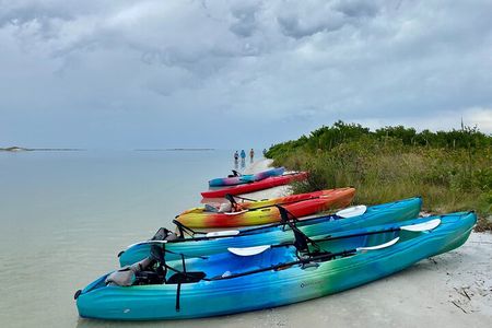 Small Group Kayak Tour of the Shell Key Preserve